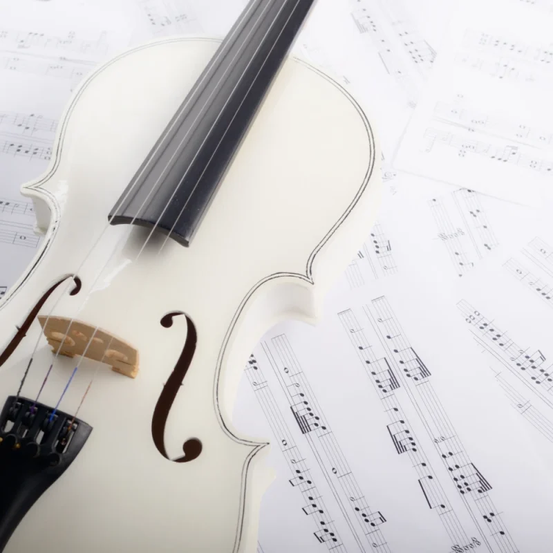 close-view-of-a-violin-and-musical-notes-on-white-2021-08-26-22-32-01-utc